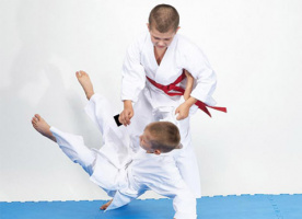 طرح مقایسه اثر تمرین‌های ایروکامبت و تکنیک‌های کاتا بر بهبود نشانگان کودکان مبتلا به اختلالات طیف اوتیسم: نقش ماهیت فعالیت جسمانی خاتمه یافت.