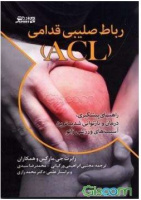 رباط صلیبی قدامی (ACL) - راهنمای پیشگیری، درمان و بازتوانی شدیدترین آسیب های ورزشی زانو