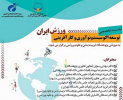 برگزاری نشست تخصصی توسعه اکوسیستم نوآوری و کارآفرینی ورزش ایران